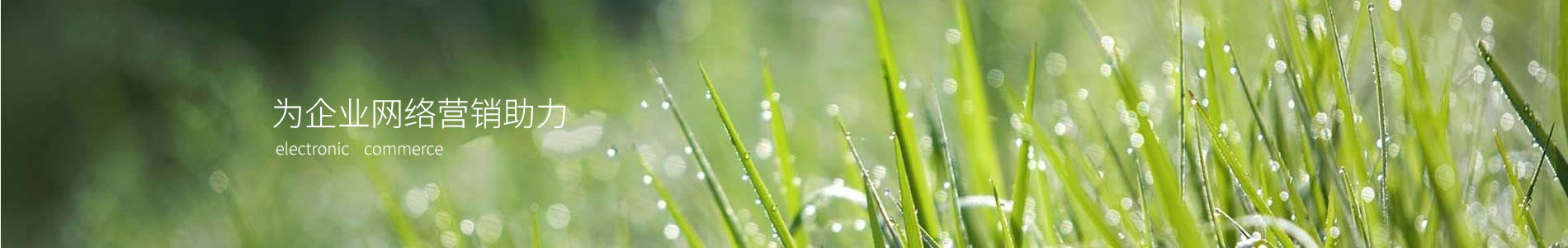 ݸķҵƼ޹˾
